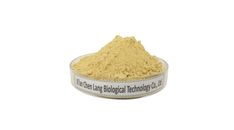 Ginger Extract.jpg